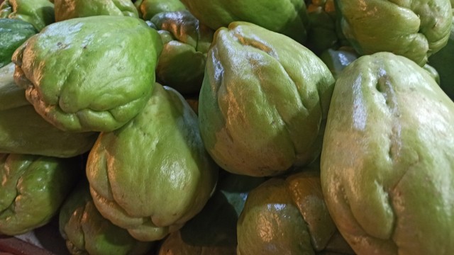 Ilustrasi labu siam. Foto: Helmi Afandi Abdullah/kumparan