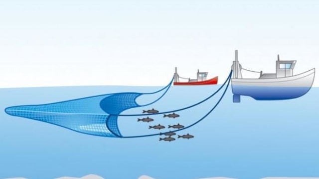 Ilustrasi catrang. Foto: Petroenergy