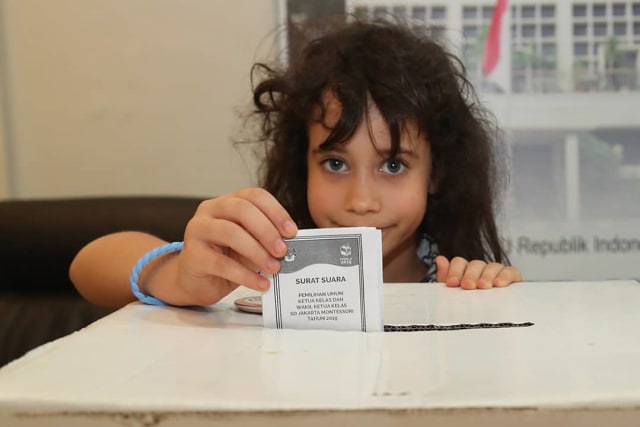 Ilustrasi Pilkada. Foto: Pixabay.