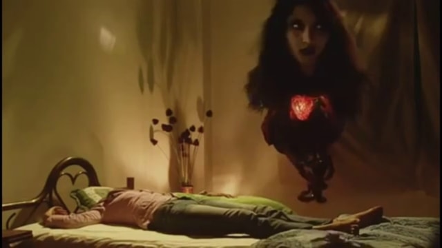 Ilustrasi palasik, Foto: pixabay