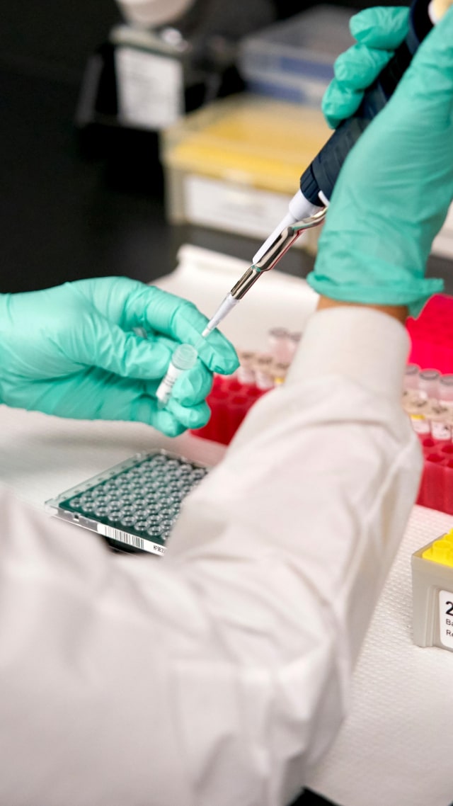 WNI di Kairo kabur dari isolasi mandiri - ilustrasi Petugas lab menyiapkan sampel sebelum pengujian virus corona (COVID-19). Foto: Cooper Neill/REUTERS