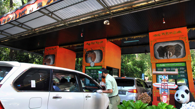 Ilustrasi Taman Safari Indonesia. Foto: Arif Firmansyah/ANTARA FOTO