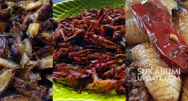 Getok goreng, belalang goreng dan ulat sagu goreng. | Sumber Foto:Istimewa