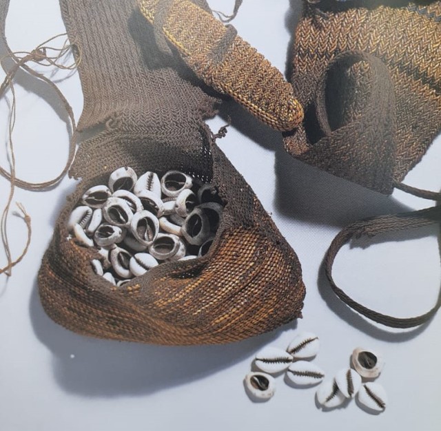 Kerang jenis Cypraea Moneta yang digunakan sebagai alat bayar di daerah pegunungan tengah Papua. (Dok Hari Suroto)
