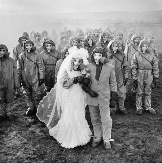 Ilustrasi penduduk Miyakejima, Jepang. Foto: Twitter:  Sarah Crowley 