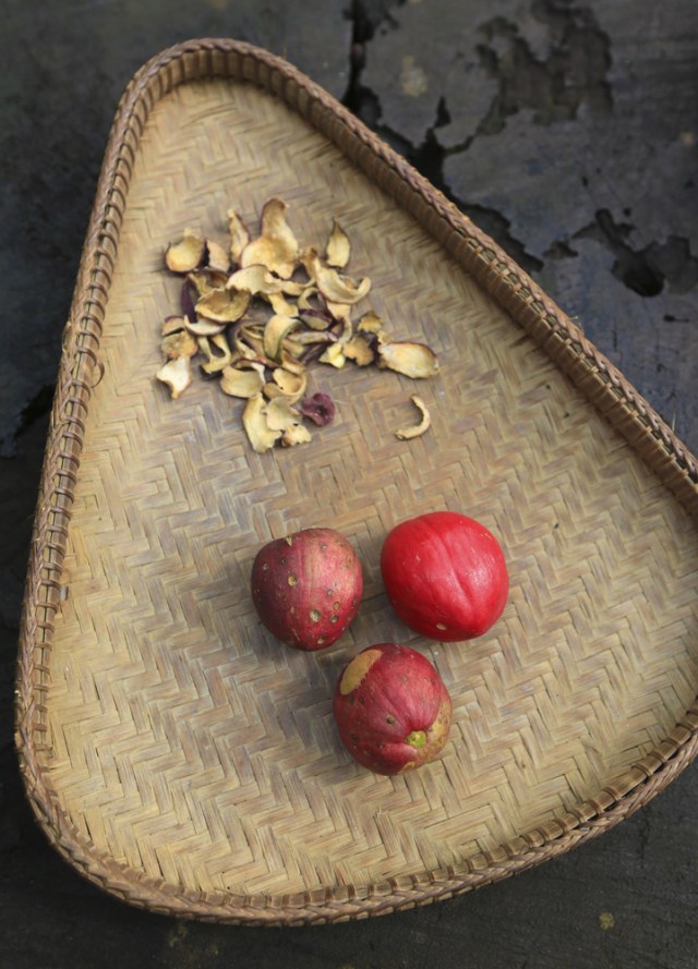 Ilustrasi buah mahkota dewa Foto: dok.Shutterstock