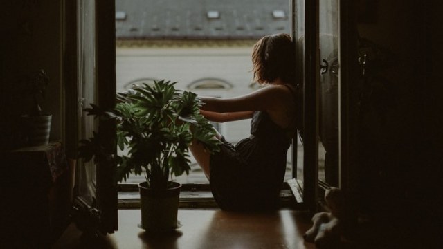 sumber: Unsplash