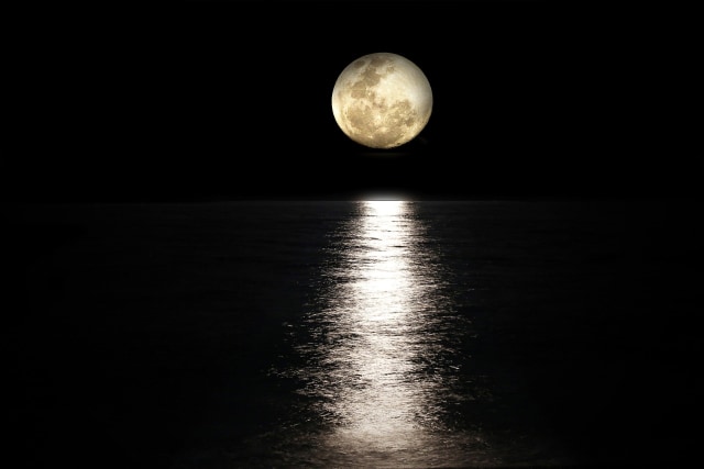 Ilustrasi Bulan Purnama dan lautan. Gambar oleh Patricia Alexandre dari Pixabay 