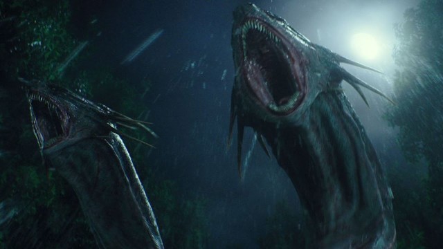 Ilustrasi hydra, dok: youtube
