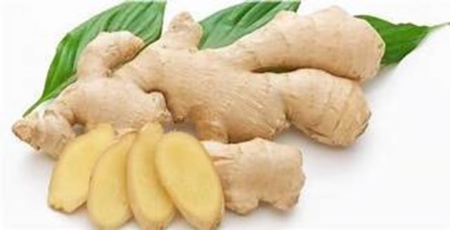 OBAT TRADISIONAL PENYAKIT STEP (STIUP)/KEJANG DEMAM UNTUK BAYI DAN ANAK