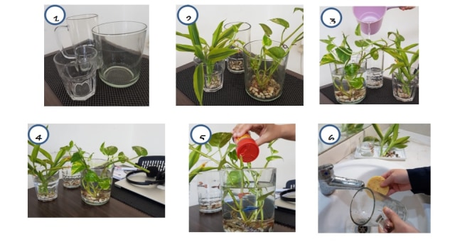 Aquarium sederhana saat WFH. Foto: Dok. IPB