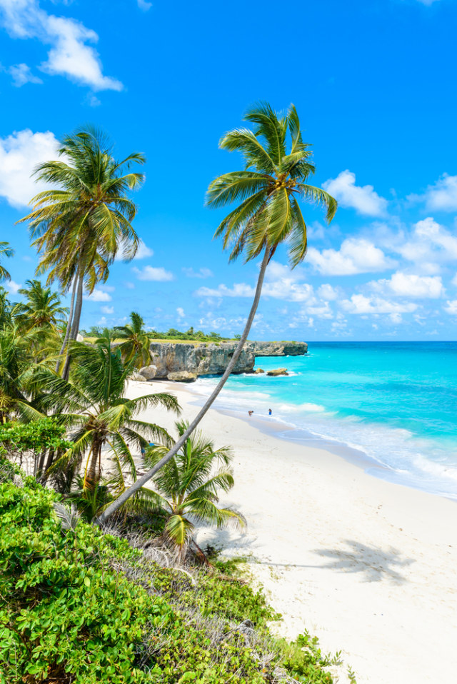 Suasana pantai di Barbados Foto: Shutter Stock