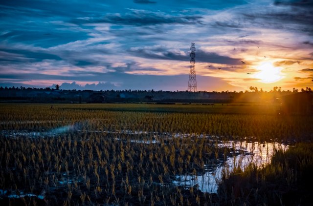 Singkawang, Kalimantan foto:Unsplash