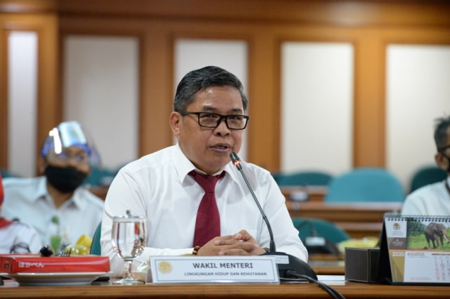 Wakil Menteri LHK, Alue Dohong, dalam acara Focus Group Discussion dengan anggota DPR RI Kaukus Kalimantan Foto: KLHK