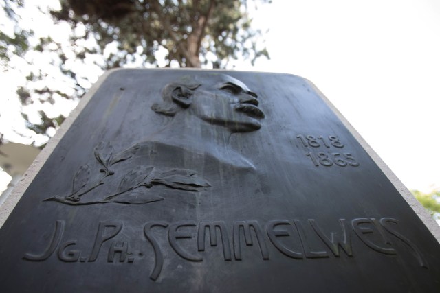 Sebuah plakat peringatan untuk ilmuwan perintis Ignaz Phillip Semmelweis di taman Rumah Sakit Umum (Allgemeines Krankenhaus, AKH) di Wina. Foto: Alex Halada/AFP