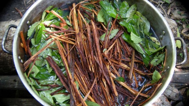 Flickr/Dominic Freeman