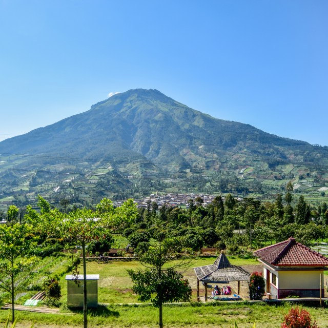 Ilustrasi Gunung Sumbing Foto: Shutter Stock
