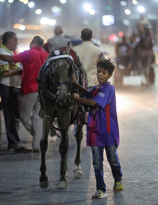 Seorang anak membawa kuda yang digunakan untuk balapan delman. Foto: Mohamed Abd El Ghany/Reuters
