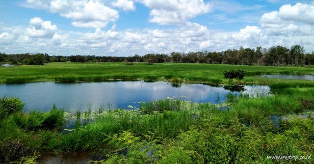 Taman Nasional Wasur, tempat tinggal Suku Marori Men Gey dan tiga suku lainnya. (Foto: mytrip)