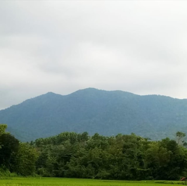 Tampak depan Gunung Gora (Foto by Santika)