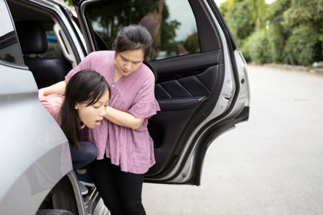 Ilustrasi mabuk perjalanan. Foto: Shutter Stock