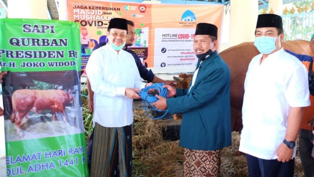 Achmad Purnomo serahkan sapi kurban dari Presiden Jokowi. Foto: Dok. Istimewa