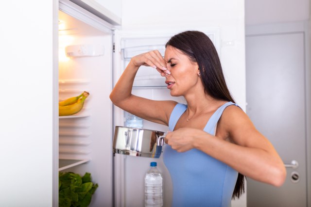 Tips Praktis Hilangkan Bau Tak Sedap dari Kulkas. Foto: Shutterstock