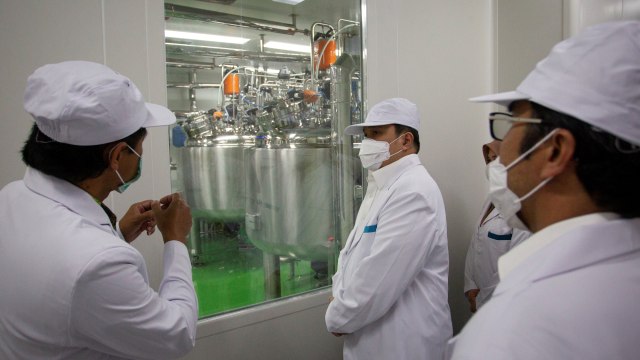 Menteri Badan Usaha Milik Negara (BUMN) Erick Thohir (tengah) saat meninjau fasilitas produksi vaksin COVID-19 di kantor Bio Farma, Bandung, Jawa Barat, Selasa (4/8/2020). Foto: Dhemas Reviyanto/ANTARA FOTO