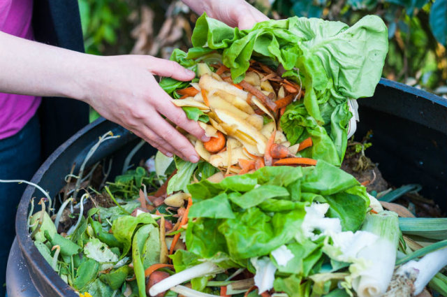Pengurangan sampah dari skala rumah tangga dengan pengomposan. Foto : Unlockfood.ca