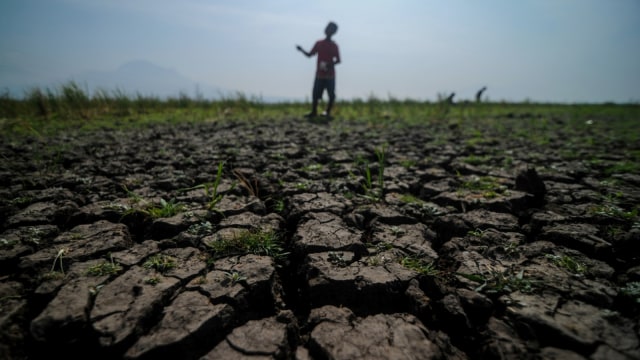 Ilustrasi kekeringan. Foto: Raisan Al Farisi/ANTARA FOTO