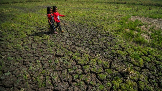 Ilustrasi kekeringan. Foto: Raisan Al Farisi/ANTARA FOTO