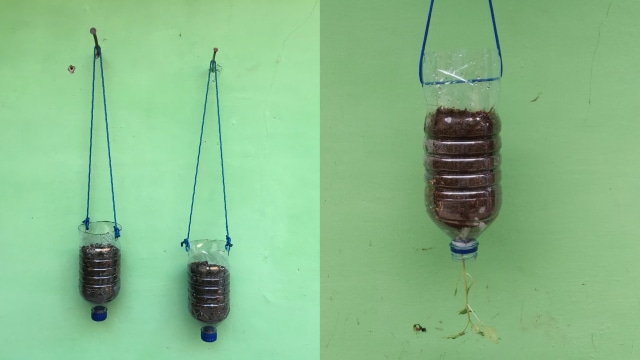 Teknik Vertikultur (kiri) dan Teknik Upside Down (kanan)
