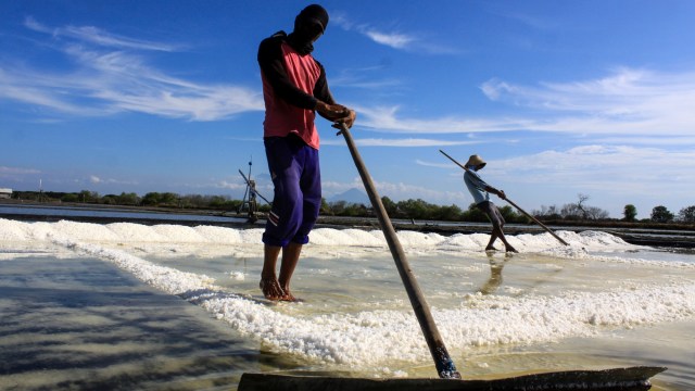Pekerja memanen garam di Desa Tambak Cemandi, Sedati, Sidoarjo, Jawa Timur, Senin (10/8). Foto: Umarul Faruq/ANTARA FOTO