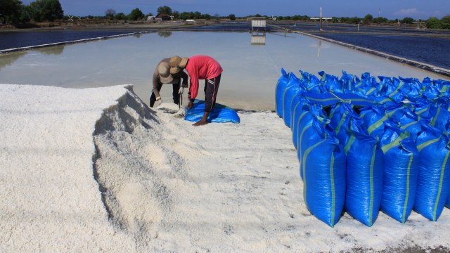 Pekerja memanen garam di Desa Tambak Cemandi, Sedati, Sidoarjo, Jawa Timur, Senin (10/8). Foto: Umarul Faruq/ANTARA FOTO
