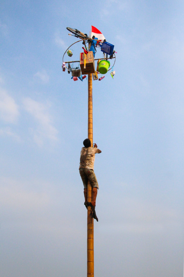 Ilustrasi perlombaan panjat pinang Foto: Shutter Stock