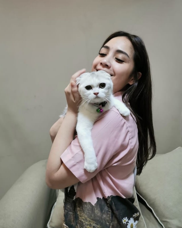 Kucing scottish fold milik Nagita Slavina. Foto: Instagram @raffinagita1717