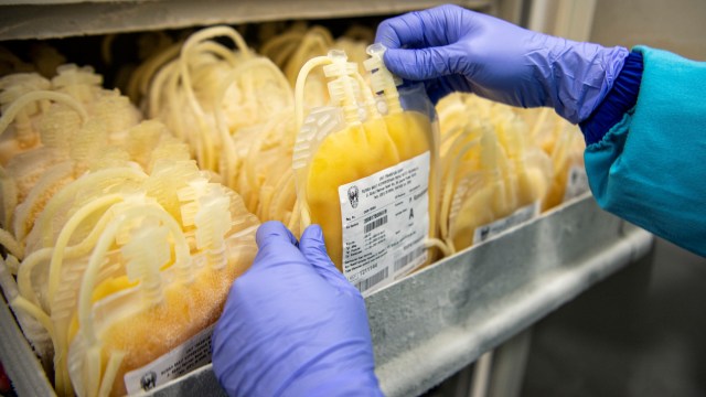 Petugas medis menyusun kantong berisi plasma konvalesen dari pasien sembuh COVID-19 di Unit Tranfusi Darah (UTD) RSPAD Gatot Soebroto Jakarta, Selasa (18/8). Foto: Nova Wahyudi/ANTARA FOTO