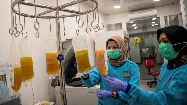 Petugas medis memeriksa kantong berisi plasma konvalesen dari pasien sembuh COVID-19 di Unit Tranfusi Darah (UTD) RSPAD Gatot Soebroto Jakarta, Selasa (18/8). Foto: Nova Wahyudi/ANTARA FOTO