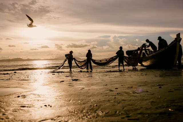 Tarek pukat, tradisi menangkap ikan di Aceh. Foto: Abdul Hadi/acehkini