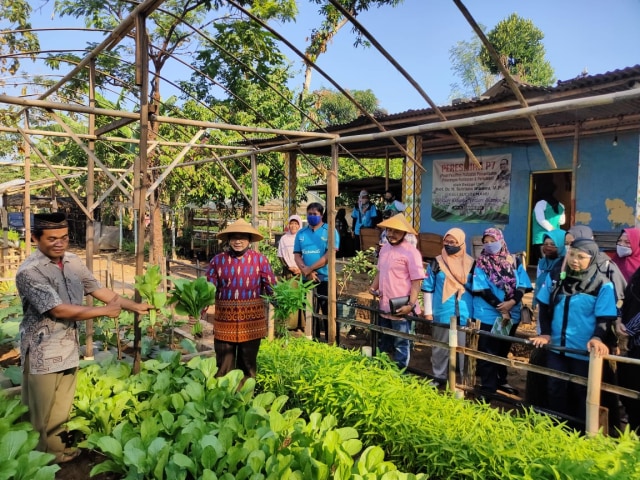 Panen Raya di Kalisuci, Profesor Sutrisna Wibawa Rintis Kebun "Cerdas Air"