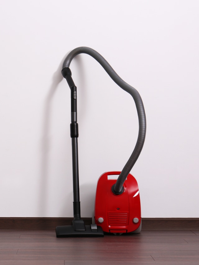 Ilustrasi membersihkan rumah. Foto: Shutterstock