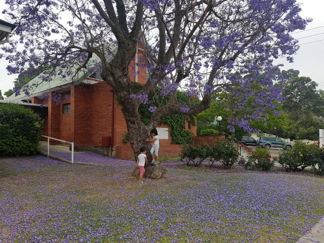 Suburb Kensington, di wilayah South Perth, Australia Barat. (Sumber: Dokumentasi Pribadi)