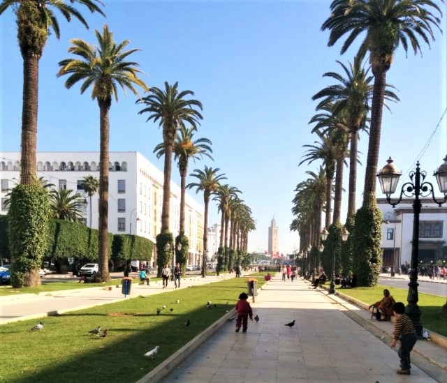 Taman di pusat Kota Rabat. (foto: koleksi pribadi)