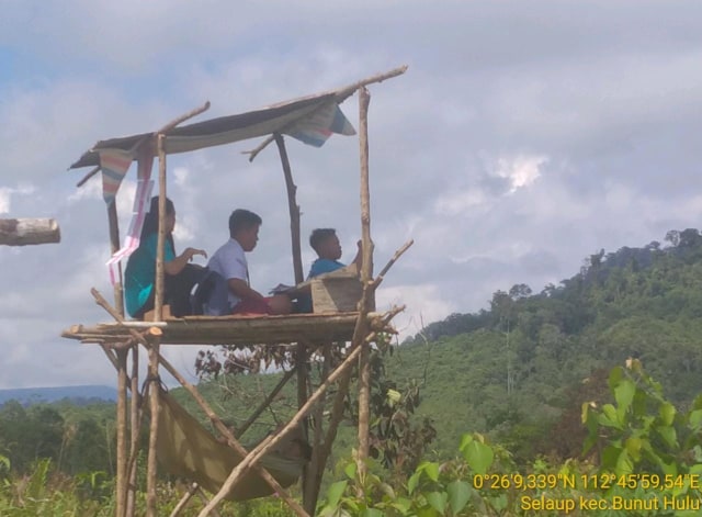 Pelajar di Desa Selaup, Kecamatan Bunut Hulu, Kabupaten Kapuas Hulu, sedang belajar secara online di Bukit Sinyal desa setempat. Kondisi sinyal internet yang tersedia di tempat itu membuat kegiatan belajar daring mereka terselamatkan selama pandemi COVID-19. Foto: Dokumen Toha