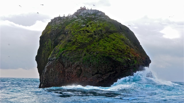 Foto: Flickr/Chris Murray