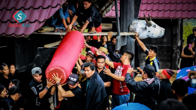 Mengeluarkan jenazah leluhur dari liang atau alang-alang. Foto: Frendy/sulbarkini
