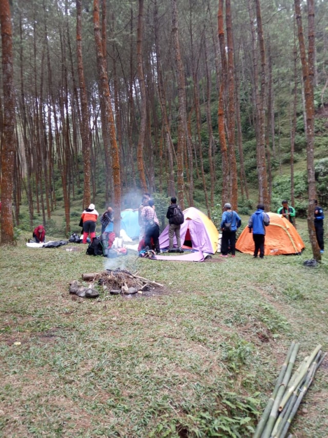 Rombongan camping di Hutan Cemara Purwojiwo, Kecamatan Kalikajar, Kabupaten Wonosobo diminta bubar. Foto: Istimewa.