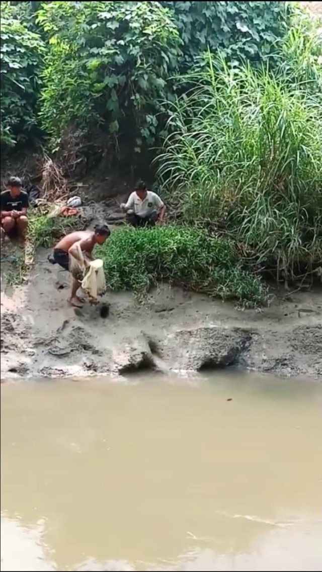 Warga saat akan menangkap buaya di Sungai Deli dengan jala. Foto: Dok. Istimewa