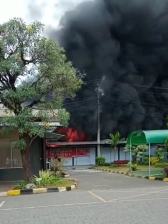 Kebakaran gudang elektronik milik PT Hartono Istana Teknologi di Kabupaten Demak.  Foto: Dok. istimewa