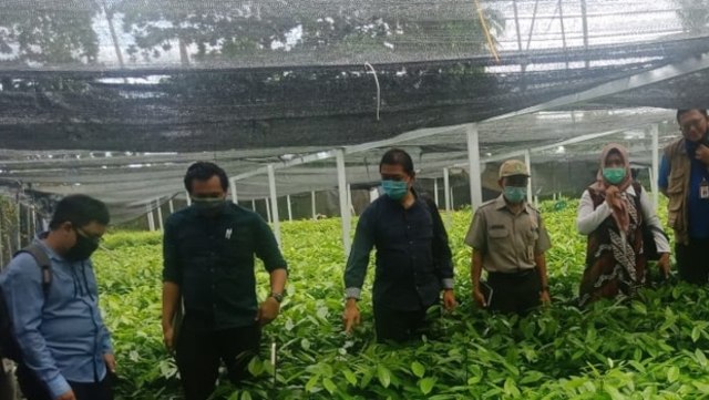 Tim Monev Ditjen Perkebunan Kementan mengunjungi wilayah Sumatera Selatan, Jawa Barat, Maluku Utara, dan Lampung dalam kegiatan monitoring dan evaluasi percepatan perkebunan 2020. Foto: Kementan RI